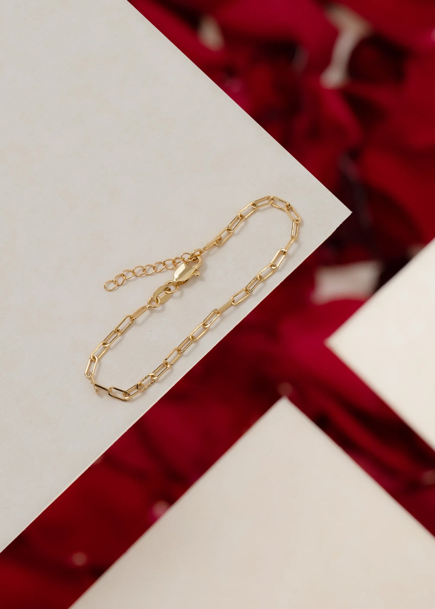 Esclava Chain 16 Cms + Extensor