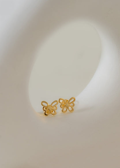 Topos butterfly