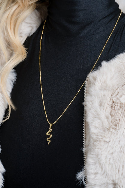 Cadena Canutillo militar ( 65cms ) + Dije serpiente circones verde