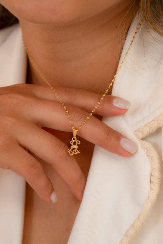 Cadena espejo mediana 45cm + Dije Dog