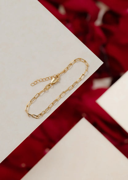 Esclava Chain 16 Cms + Extensor