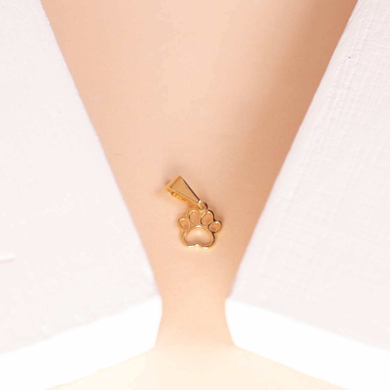 Dije Mini Huella Perro