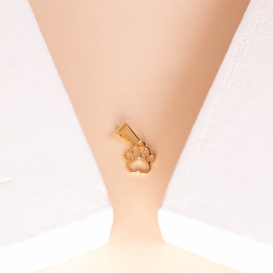 Dije Mini Huella Perro