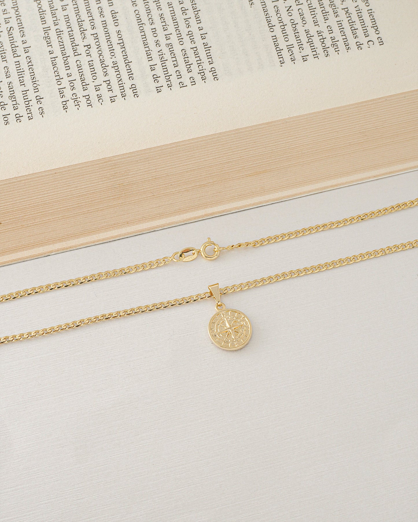 Dije Rosa de los Vientos